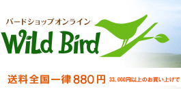 C^[lbgVbv Wild Bird