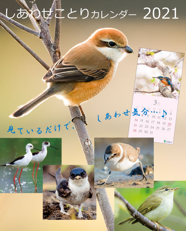 日本野鳥の会 バードショップオンライン Wild Bird カレンダー しあわせことりカレンダー21