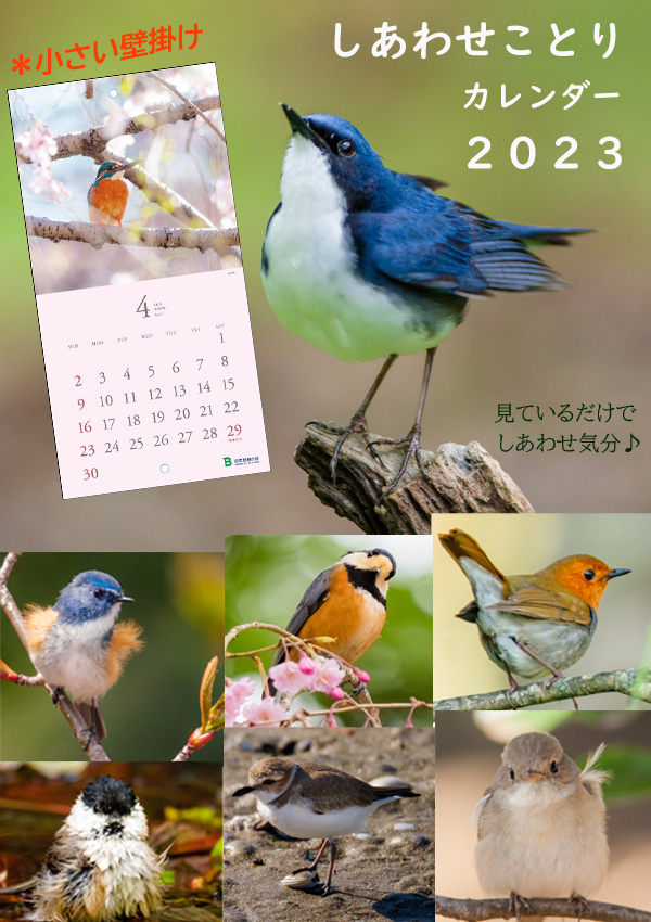 最大55%OFFクーポン しあわせのことりカレンダー 2023 小鳥 野鳥