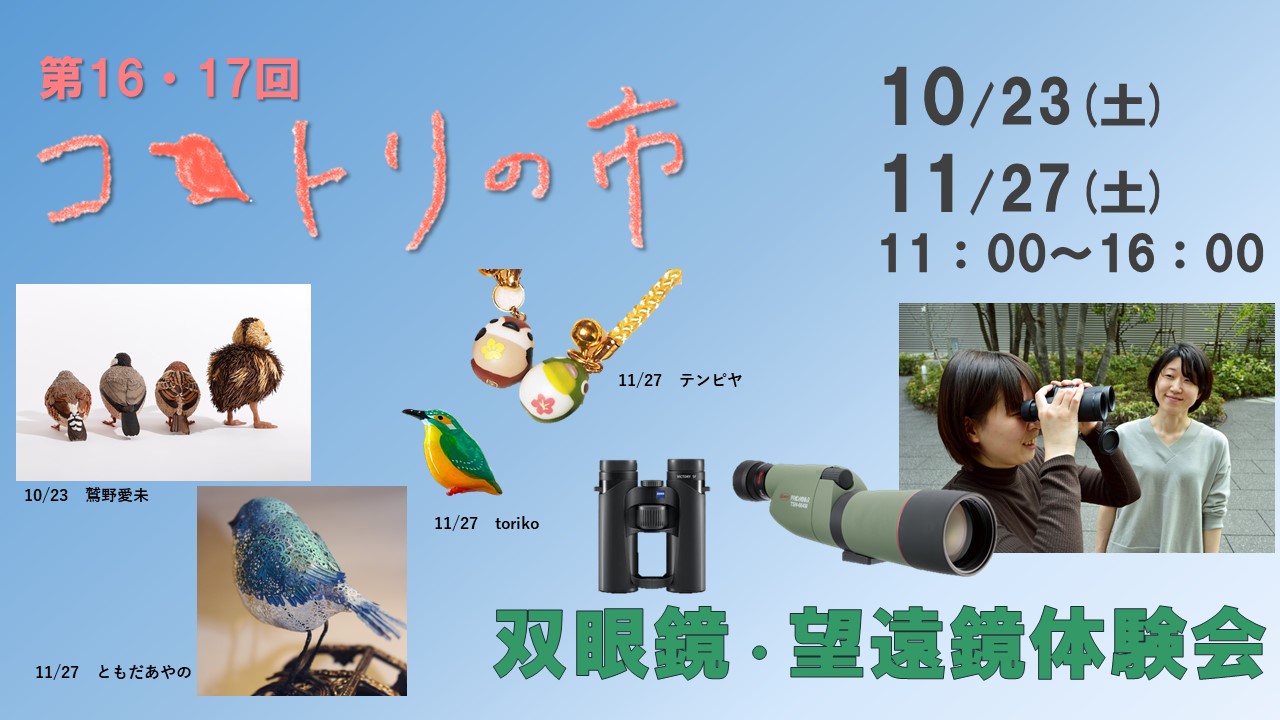 日本野鳥の会 バードショップオンライン Wild Bird 日本野鳥の会 コ トリの市