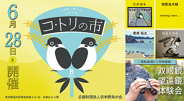 コトリの市