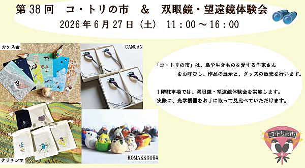 �R�g���̎s