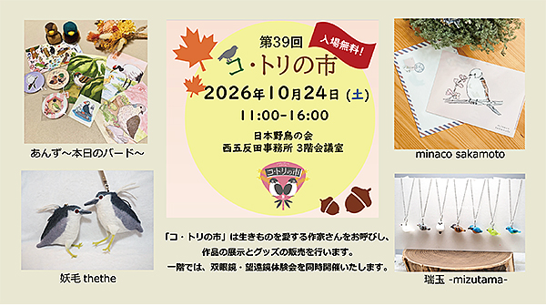 �R�g���̎s