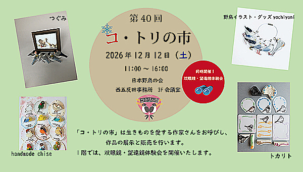 �R�g���̎s