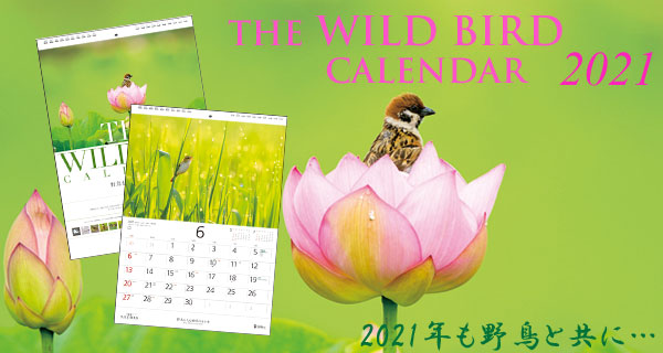 日本野鳥の会 バードショップオンライン Wild Bird カレンダー ワイルドバード カレンダー21 一般価格 日本野鳥の会 バードショップオンライン Wild Bird カレンダー ワイルドバード カレンダー21 一般価格
