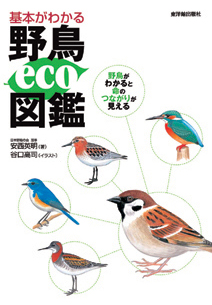 基本がわかる野鳥eco図鑑