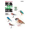 {킩쒹eco}