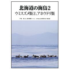 北海道の海鳥２　ウミスズメ類（2）、アホウドリ類