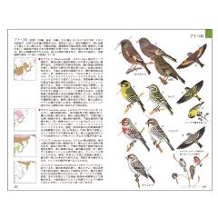 フィールドガイド日本の野鳥　増補改訂新版