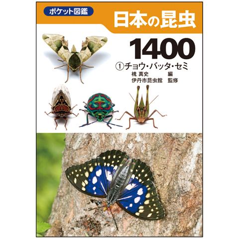 日本野鳥の会 バードショップオンライン Wild Bird 図鑑 ポケット図鑑 ...