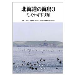 北海道の海鳥３　ミズナギドリ類