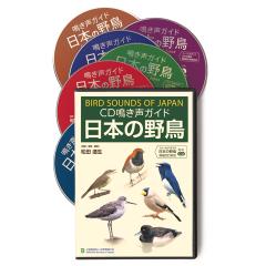 ＣＤ　鳴き声ガイド 日本の野鳥