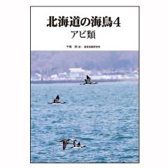 北海道の海鳥４　アビ類