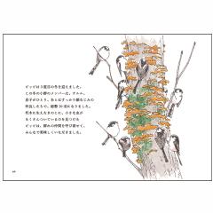 日本野鳥の会 バードショップオンライン Wild Bird 写真集 ガイドブック 絵本 エナガの一生 日本野鳥の会 バードショップオンライン Wild Bird 写真集 ガイドブック 絵本 エナガの一生