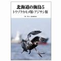 北海道の海鳥５　トウゾクカモメ類・アジサシ類