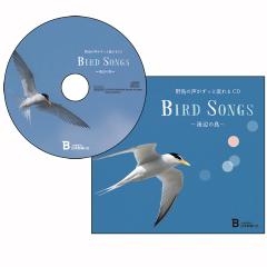 野鳥の声がずっと流れるＣＤ「BIRD SONGS」〜海辺の鳥〜
