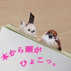 o[hubN}[J[ hイ