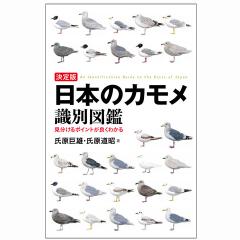 日本野鳥の会 バードショップオンライン Wild Bird 図鑑 決定版 日本のカモメ識別図鑑