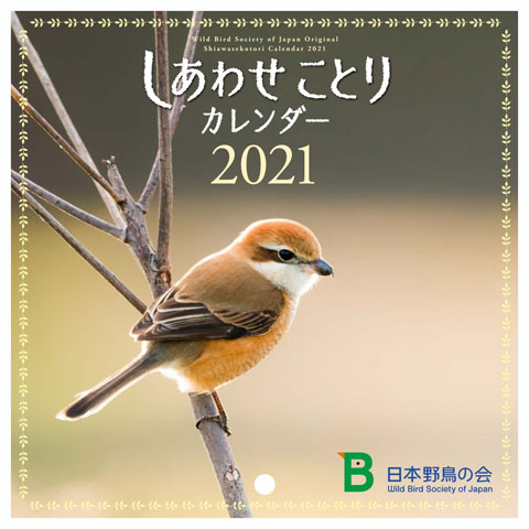 日本野鳥の会 バードショップオンライン Wild Bird カレンダー しあわせことりカレンダー21 日本野鳥の会 バードショップオンライン Wild Bird カレンダー しあわせことりカレンダー21