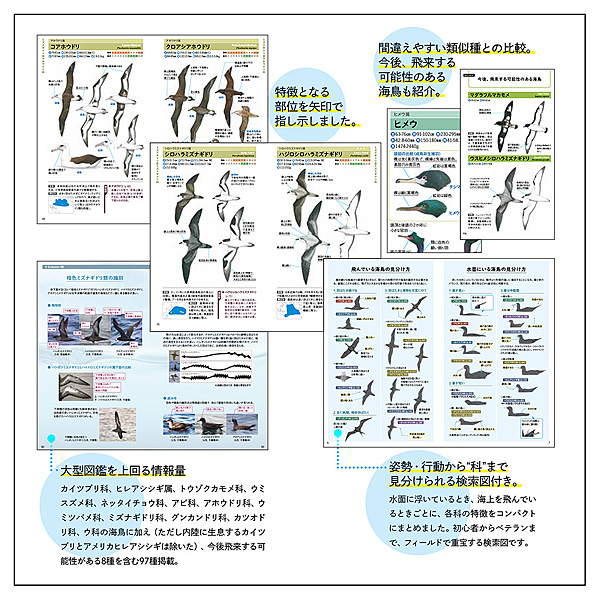 日本野鳥の会 バードショップオンライン Wild Bird 図鑑 新 海鳥