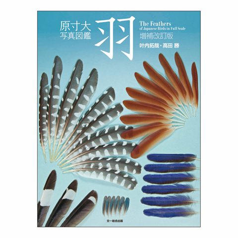 原寸大写真図鑑　羽　増補改訂版
