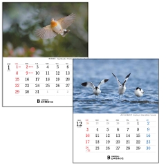 バーズ・イン・シーズンズ2023　卓上カレンダー「12か月を彩る野鳥」
