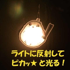  tN^[Zbg 2