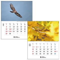 バーズ・イン・シーズンズ2024　卓上カレンダー「12か月を彩る野鳥」