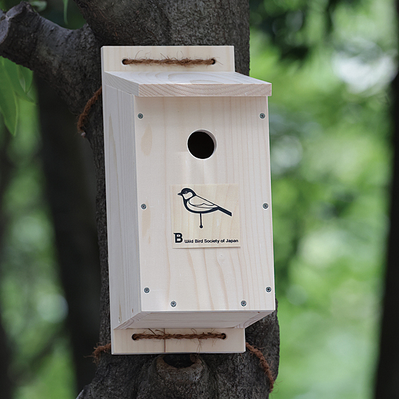 �V�W���E�J���p�����U�i�����Łj