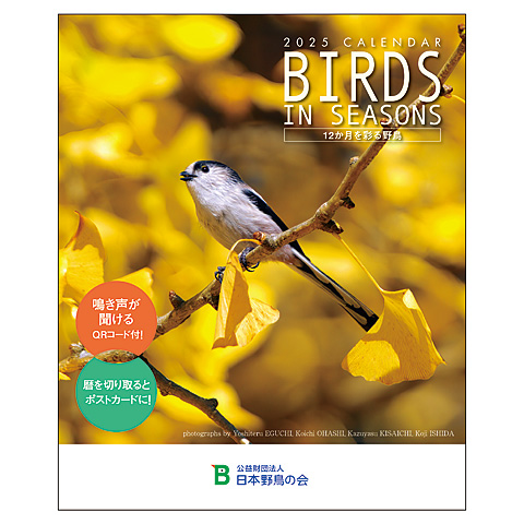 直営店に限定 日本野鳥の会 バードショップオンライン Wild Bird カレンダー カード・カードストック