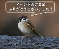 {쒹̉ICCxg@x̂肢
