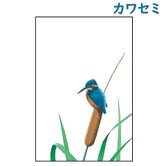 IWi 쒹|XgJ[h