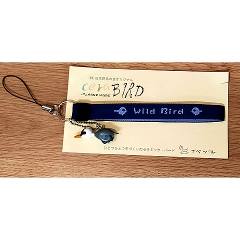 CeraBIRD}XRbgtXgbv@ixd