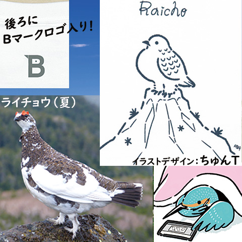 �u���C�`���E�v�s�V���c�E�u���E���i�ȁj
