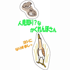 쒹V[iڂ 2Zbgj
