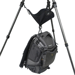 ALTA SBM Xg[obO