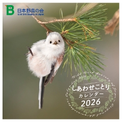 킹ƂJ_[2026