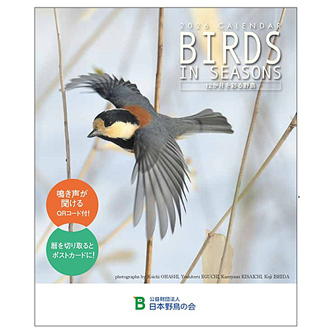 本能寺カレン シノビ メカ 19種 76枚 本能寺カレン シノビ メカ 19種 76枚