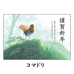 IWi 쒹|XgJ[h(R}h/^`E)