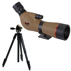 y]X^[^[ZbgzutB[hXR[v WI}V dcUT ynnl+A~OrZbg