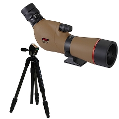 y]X^[^[ZbgzutB[hXR[v WI}V dcUT ynnl+J[{OrZbg