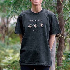 �uSUNA ABI CHUN�i�����т����j�v�s�V���c�i�ȁ@�w�U�[�l�C�r�[�j