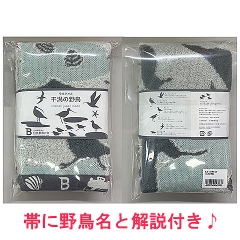 �����^�I���u�����̖쒹�v�t�F�C�X�^�I��