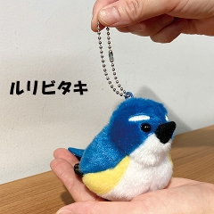 �쒹�ʂ�����݃X�g���b�v�@7��