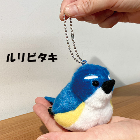 日本野鳥の会 バードショップオンライン Wild Bird リビング・キッチン