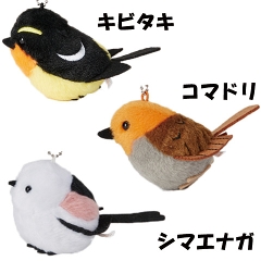 �쒹�ʂ�����݃X�g���b�v�@7��