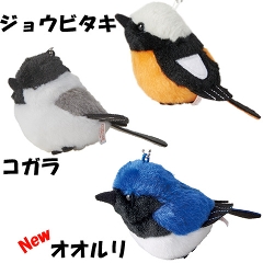 �쒹�ʂ�����݃X�g���b�v�@7��