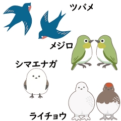 �쒹�̂���