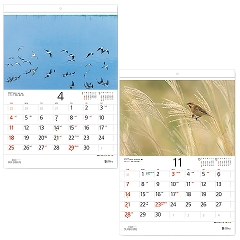 ���C���h�o�[�h�E�J�����_�[2027�y��ʉ��i�z
