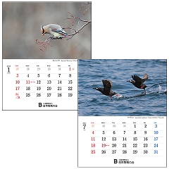 �o�[�Y�E�C���E�V�[�Y���Y2027�@���J�����_�[�u12�������ʂ�쒹�v
